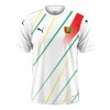 Original Fußballtrikot Guinea Auswärtstrikot 2024 Für Herren